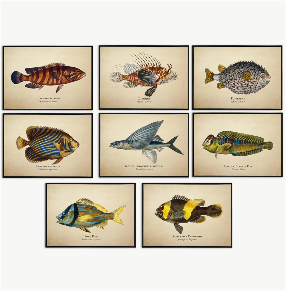 Marine Aquarium Home - Quadri Vintage con Pesci Tropicali, Meduse,