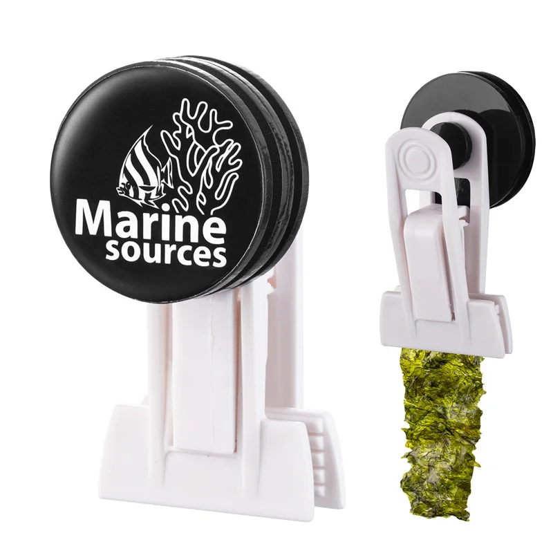 Marine Aquarium & Regional Centre Photos - Sorgenti marine Forte clip magnetica per