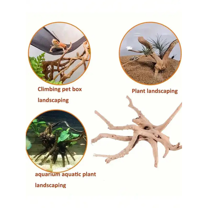 Legno Naturale per Decorazione - Marine Aquarium Hobby recensione e prezzo