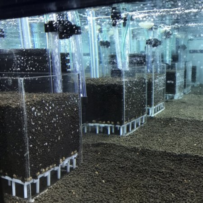 Sistema di Filtraggio per Acqu - Marine Aquarium Overflow Box recensione e prezzo