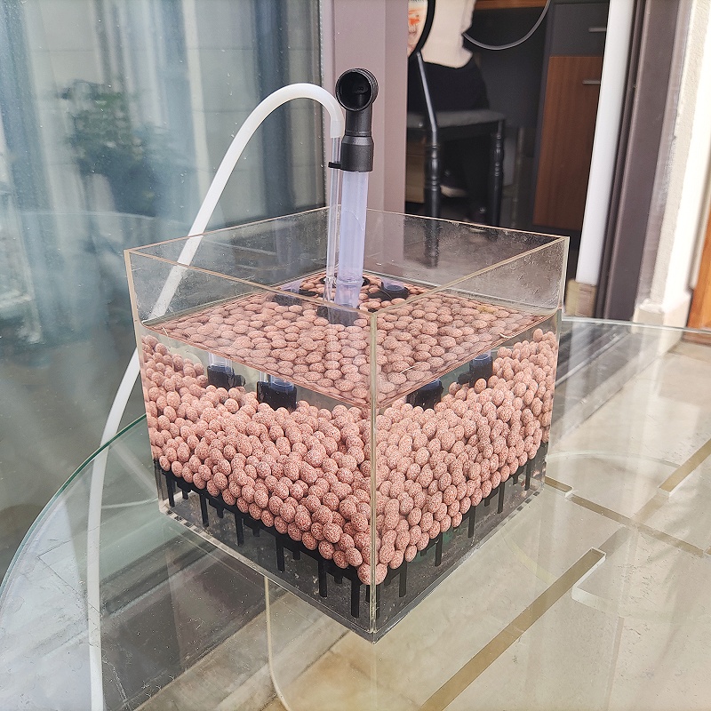 Sistema di Filtraggio per Acqu - Marine Aquarium Overflow Box recensione e prezzo