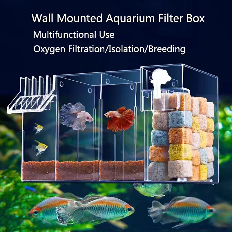 Scatola filtro esterno per acq - Marine Aquarium Overflow Box recensione e prezzo