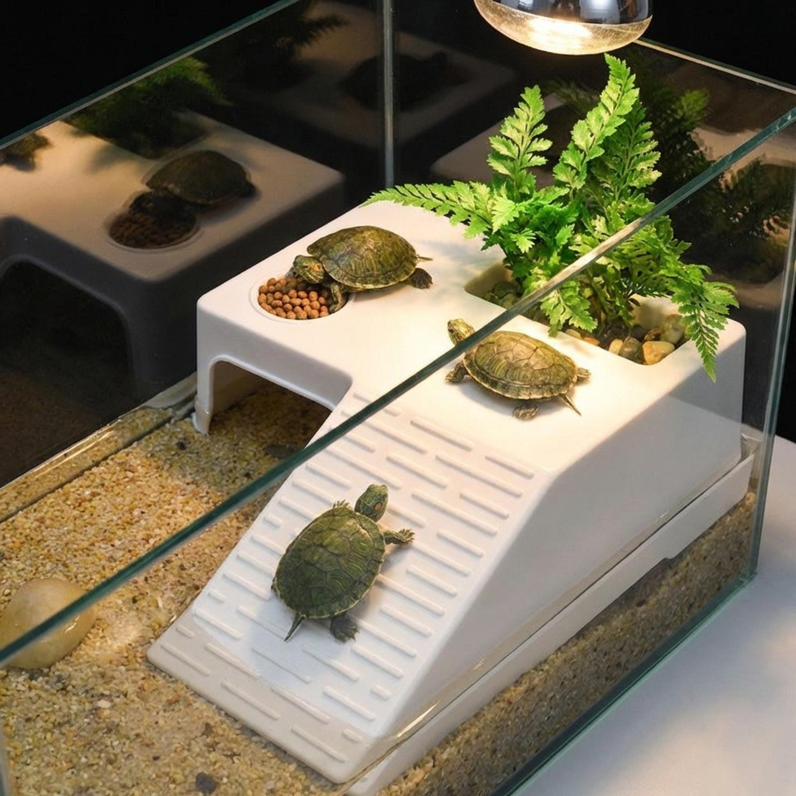 Piattaforma di Riposo per Tart - Marine Aquarium Hobby recensione e prezzo