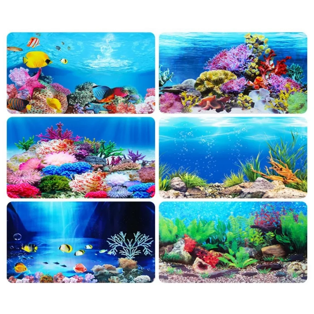Sfondo Acquario Adesivo 3D Pos - Marine Aquarium Hobby recensione e prezzo