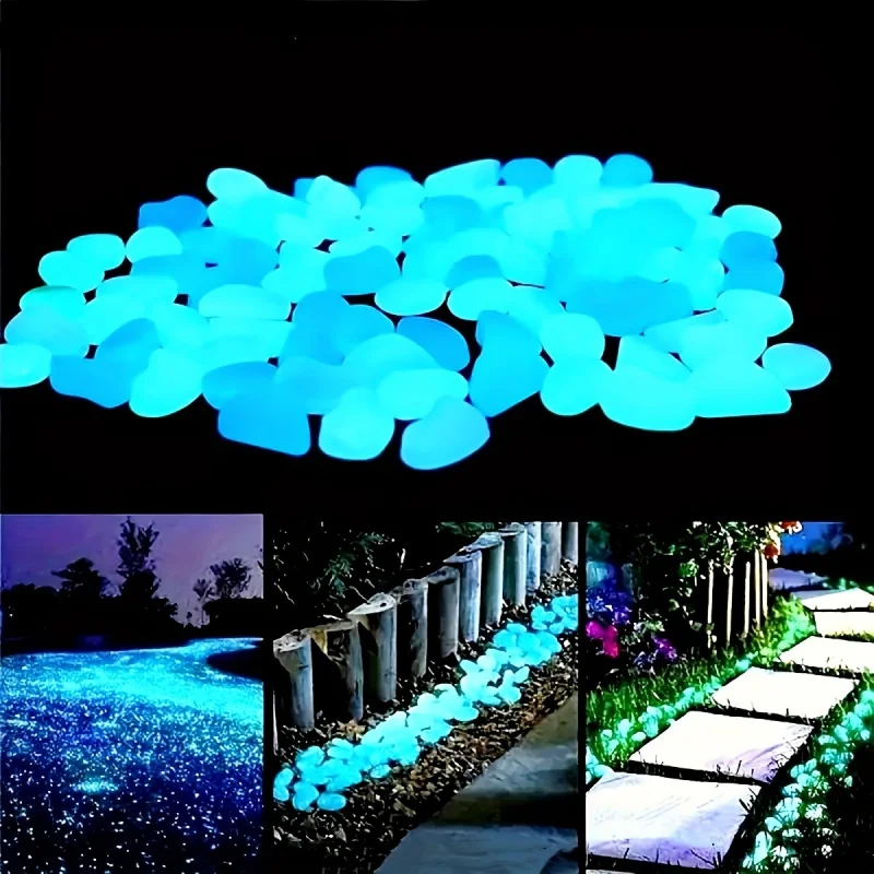 Pietre Luminose per Illuminazi - Marine Aquarium Hobby recensione e prezzo