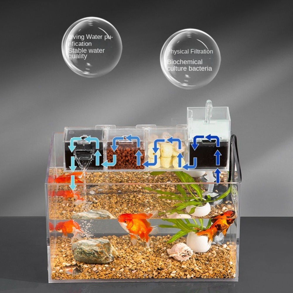 Scatola filtro per acquario es - Marine Aquarium Overflow Box recensione e prezzo