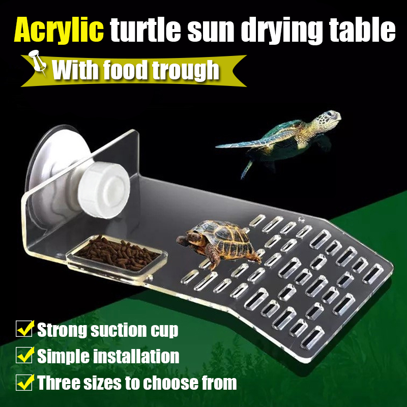 1PC S/M/L Formato Tartaruga Pi - Marine Aquarium Hobby recensione e prezzo