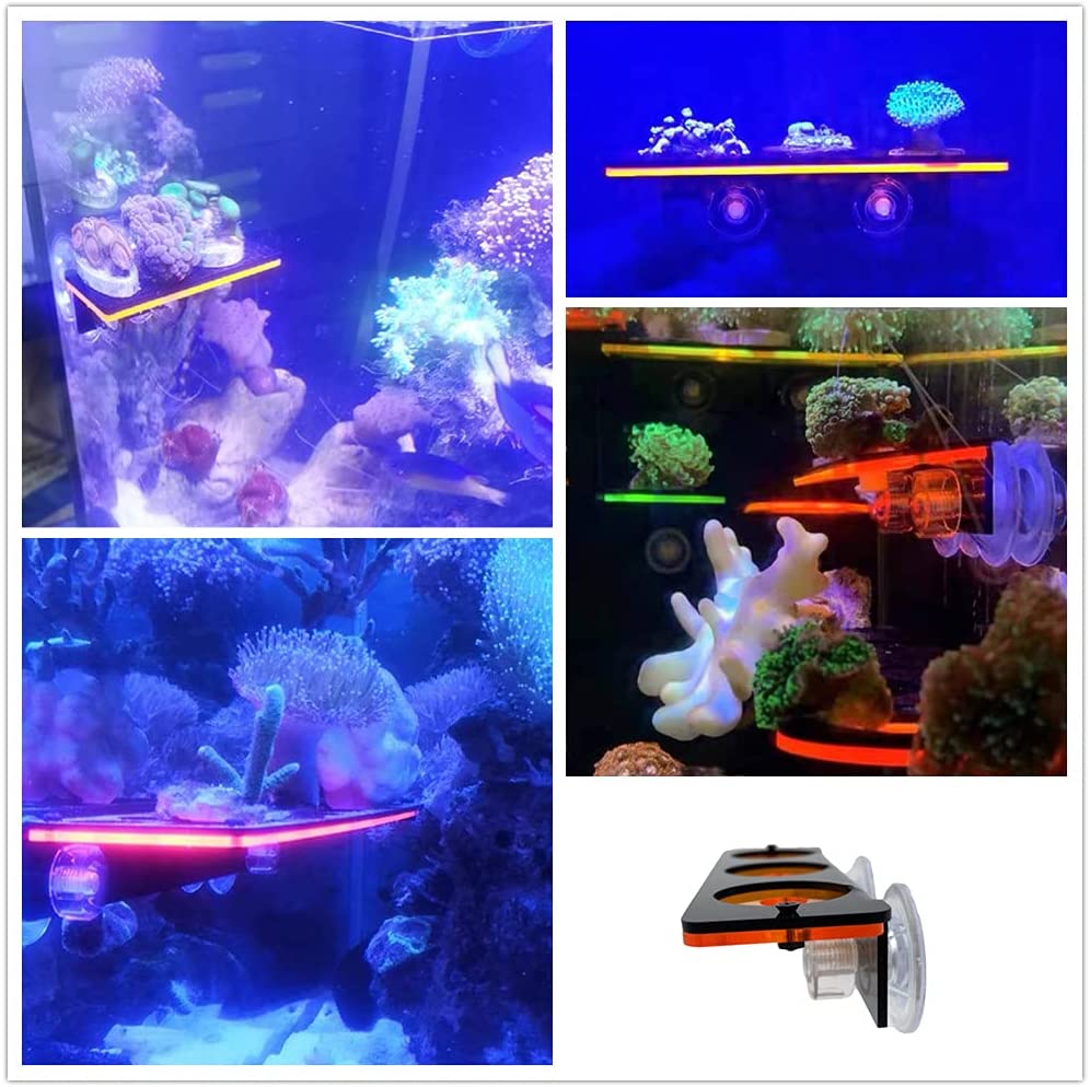 Staffa per tappo Frag in coral - Marine Aquarium Hobby recensione e prezzo