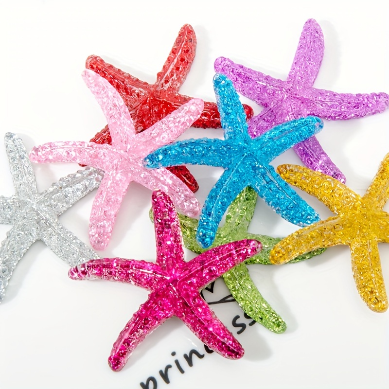 10 pezzi di stelle marine in r - Marine Aquarium Hobby recensione e prezzo