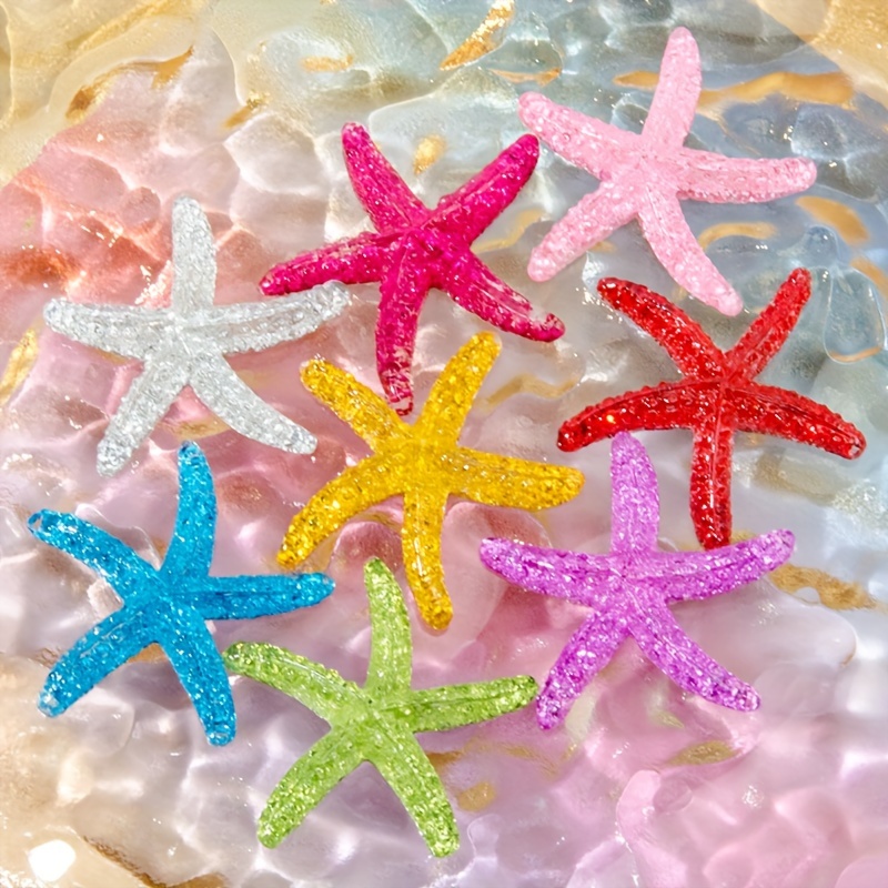 10 pezzi di stelle marine in r - Marine Aquarium Hobby recensione e prezzo