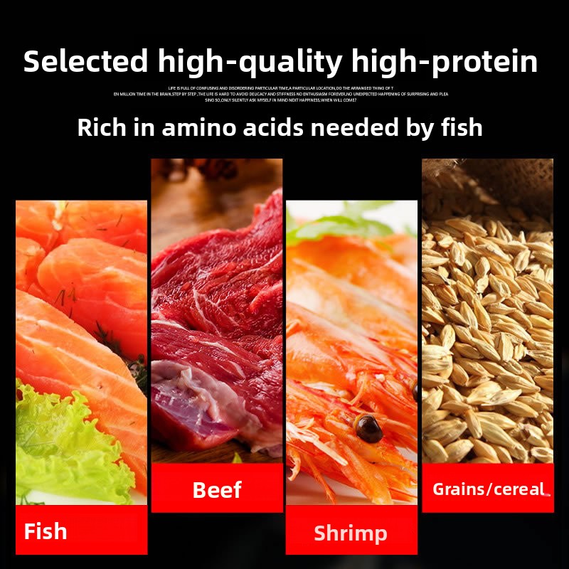 Mangime per Pesci Ornamentali  - Marine Aquarium Chiller recensione e prezzo